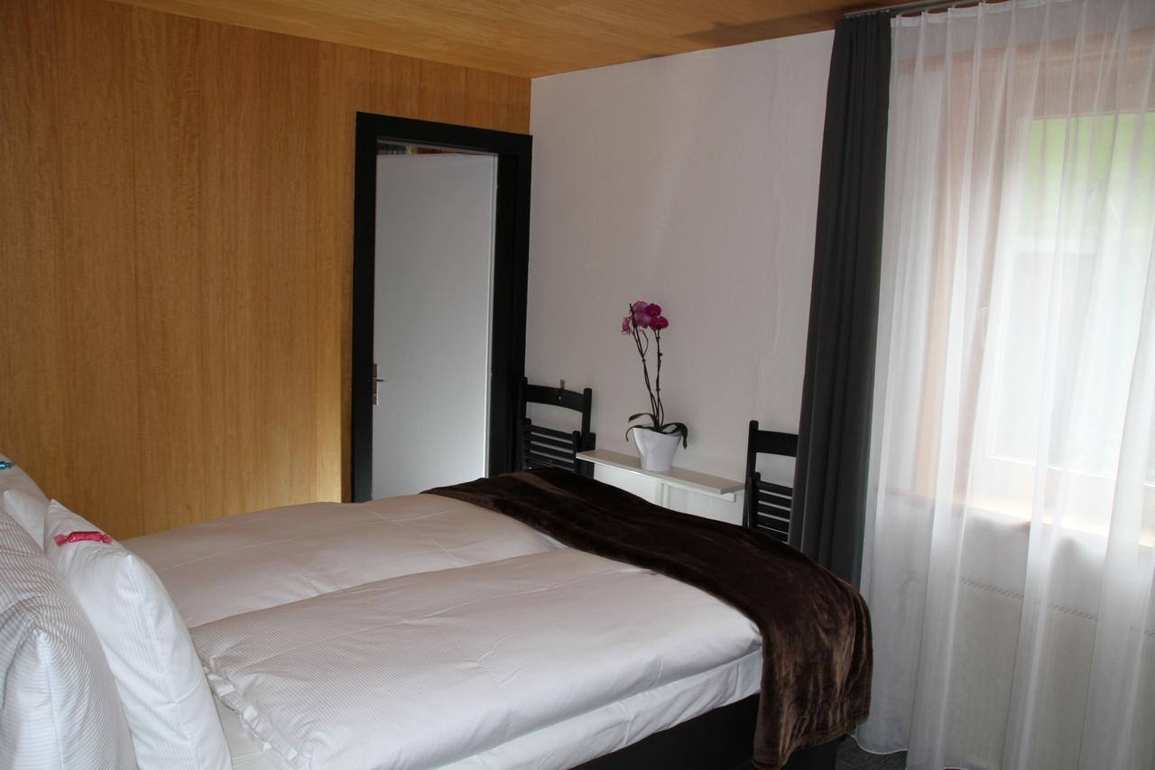 Hotel Sonnenhalde Визен Экстерьер фото